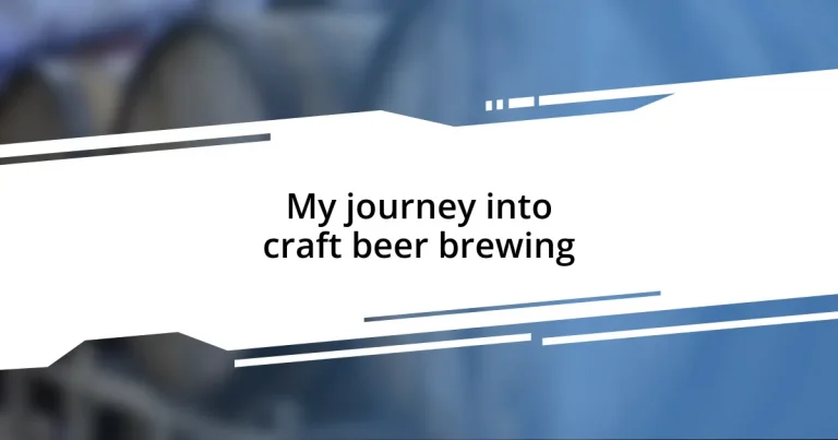 My journey into craft beer brewing