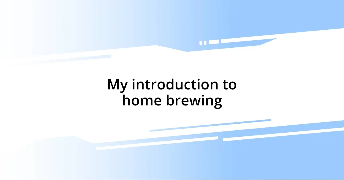 My introduction to home brewing